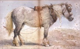 Two small studies of working horses in harness, both watercolour, one signed indistinctly HB Willis?