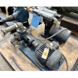 Lot Consisting Of: (1) Viking rotary gear pump, model HL125, serial# 2201426, 3hp motor, (1) Effepiz
