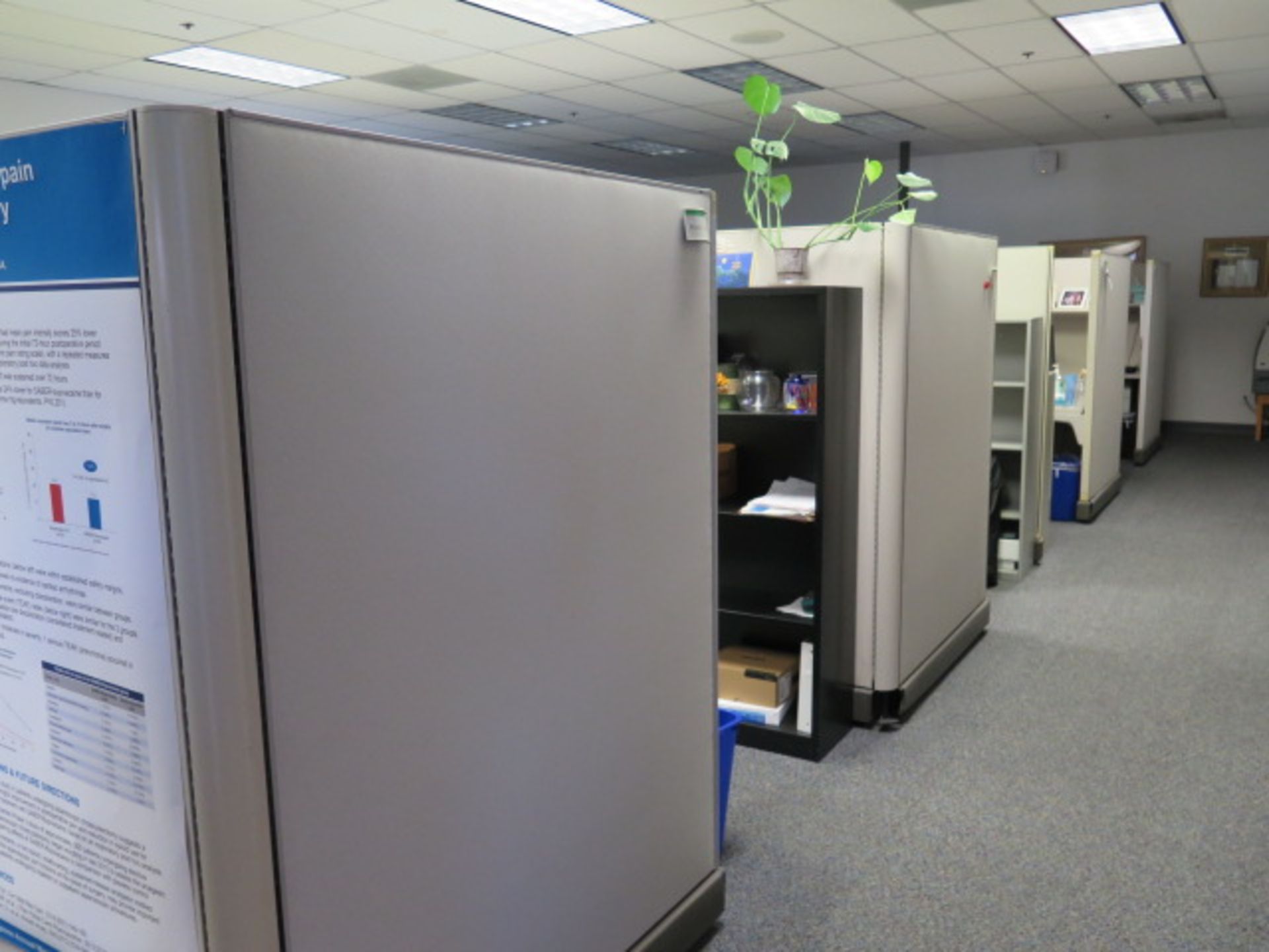 Partitioned Office Cubicles (8) w/ Desks and File Cabinets (SOLD AS-IS - NO WARRANTY) - Image 2 of 10