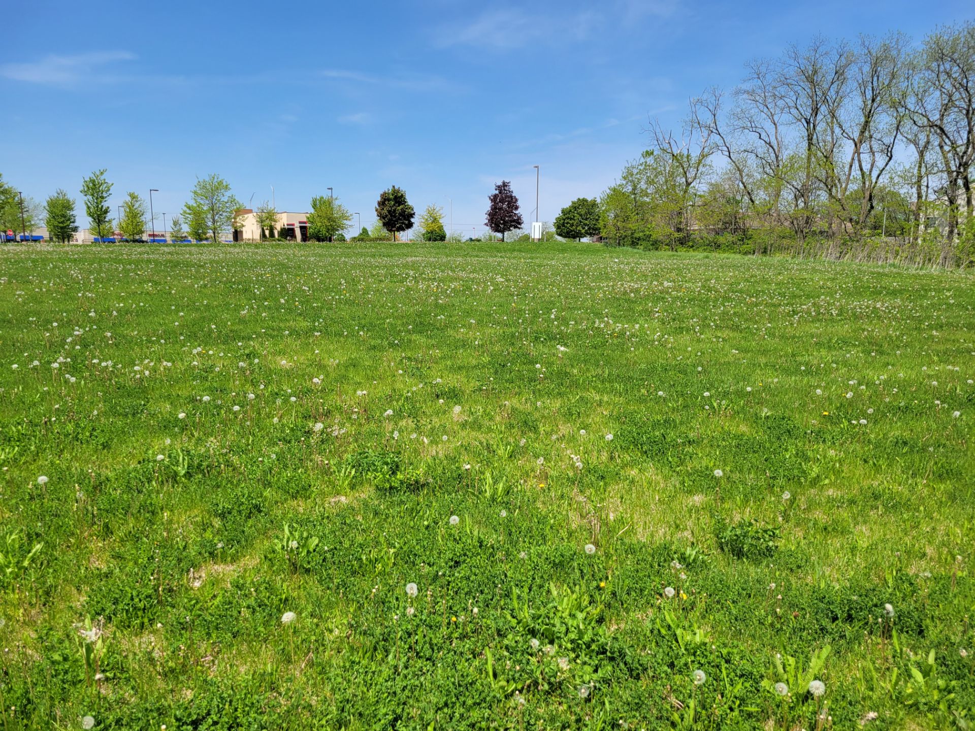 Land Lot 4, Randall and Binnie Rd Carpentersville, Illinois, 2.24 acres - Image 11 of 31