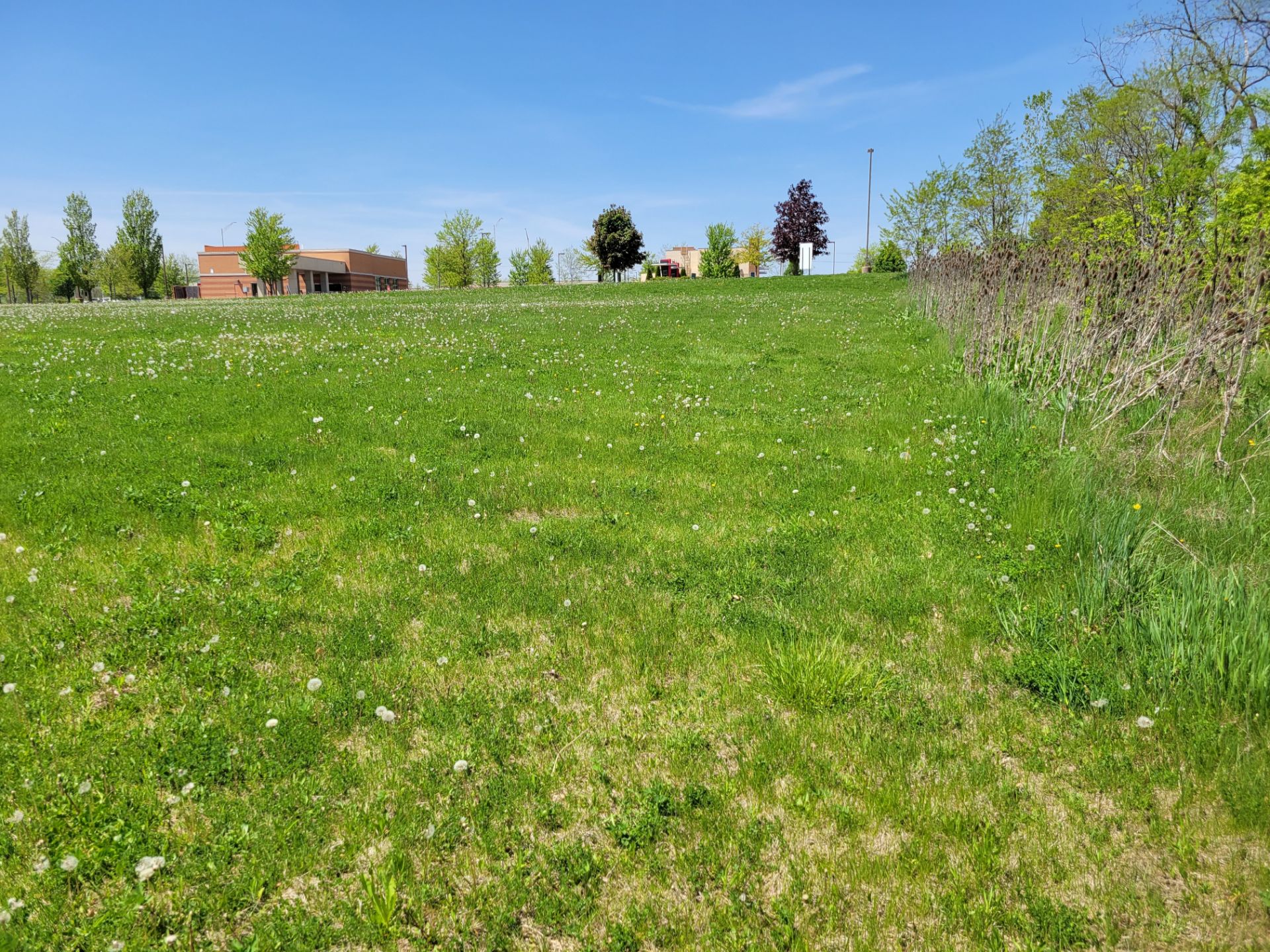 Land Lot 4, Randall and Binnie Rd Carpentersville, Illinois, 2.24 acres - Image 8 of 31