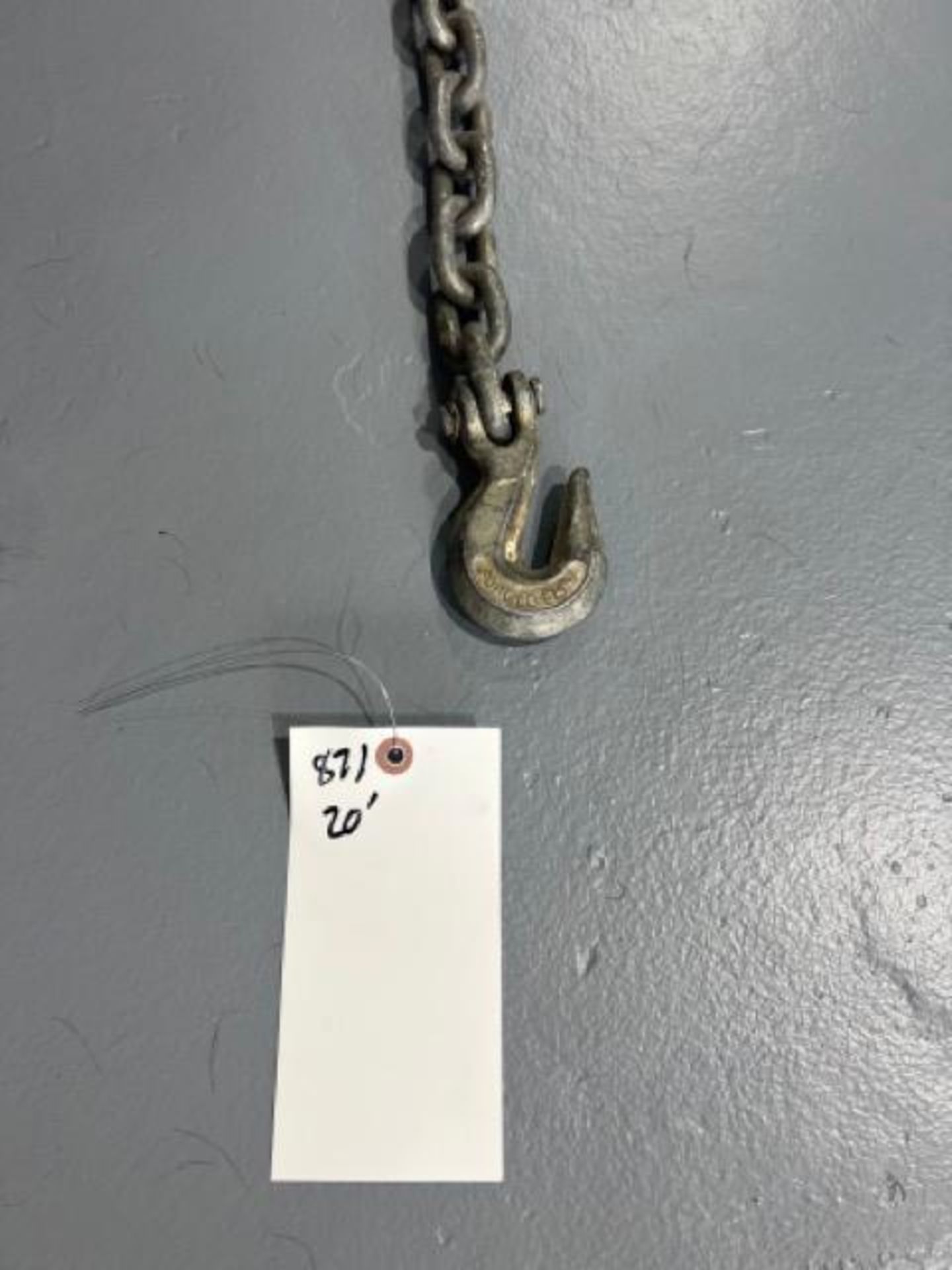 20' chain with hooks