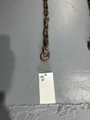 20' chain with hooks