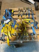 fall protection equipment (4) safety harnesses, (6) lifelines