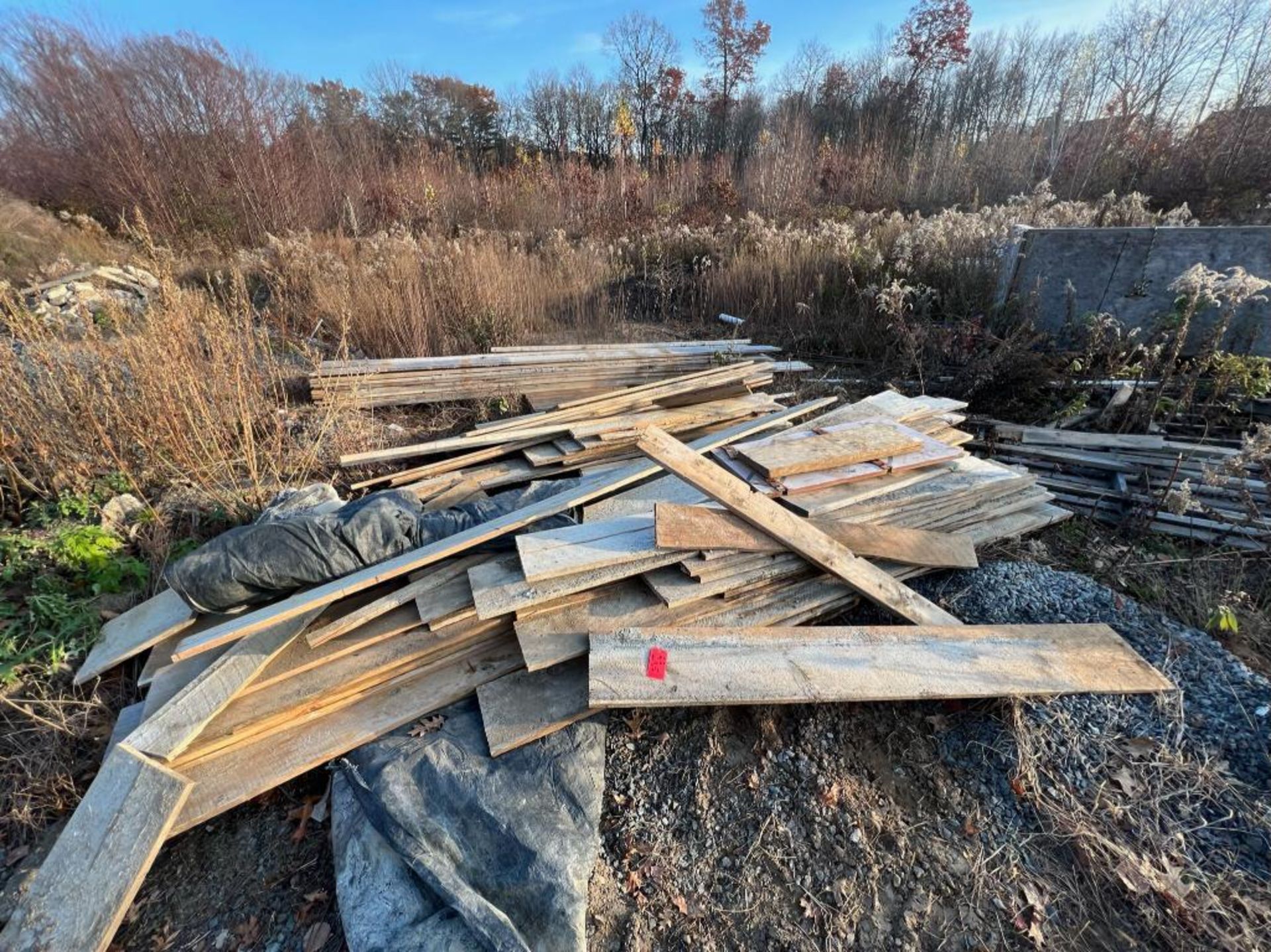 Misc. Form Lumber, located in Latham, NY. - Image 2 of 2