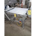 Stainless Steel Conveyor, 36" W X 44" L, electric drive: Required Loading Fee $300.00, Rigger-Norm