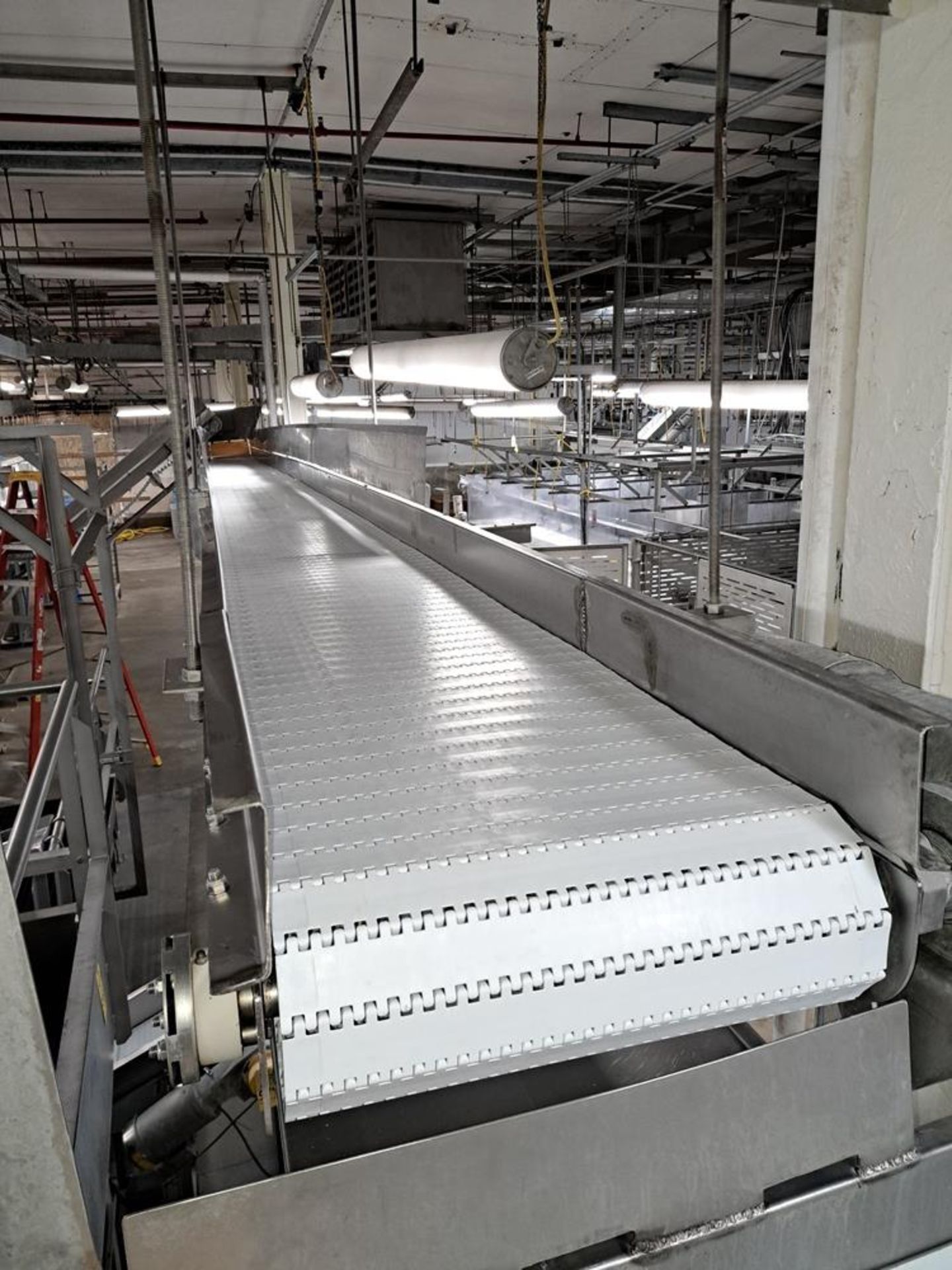 Stainless Steel Suspended Conveyor, 20" W X 45' L, stainless steel motor 230/460 volts,belts have