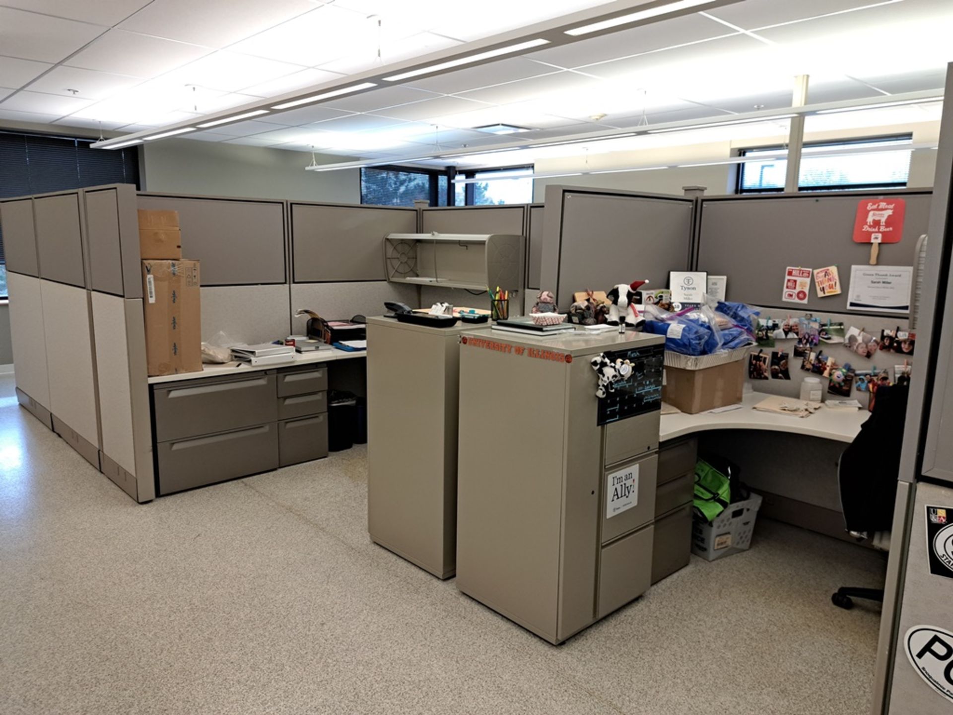 Lot Herman Miller Cubicle Work Stations, 17" W X 57' L, (12) Work Stations, Desks, Chairs, File - Image 12 of 32