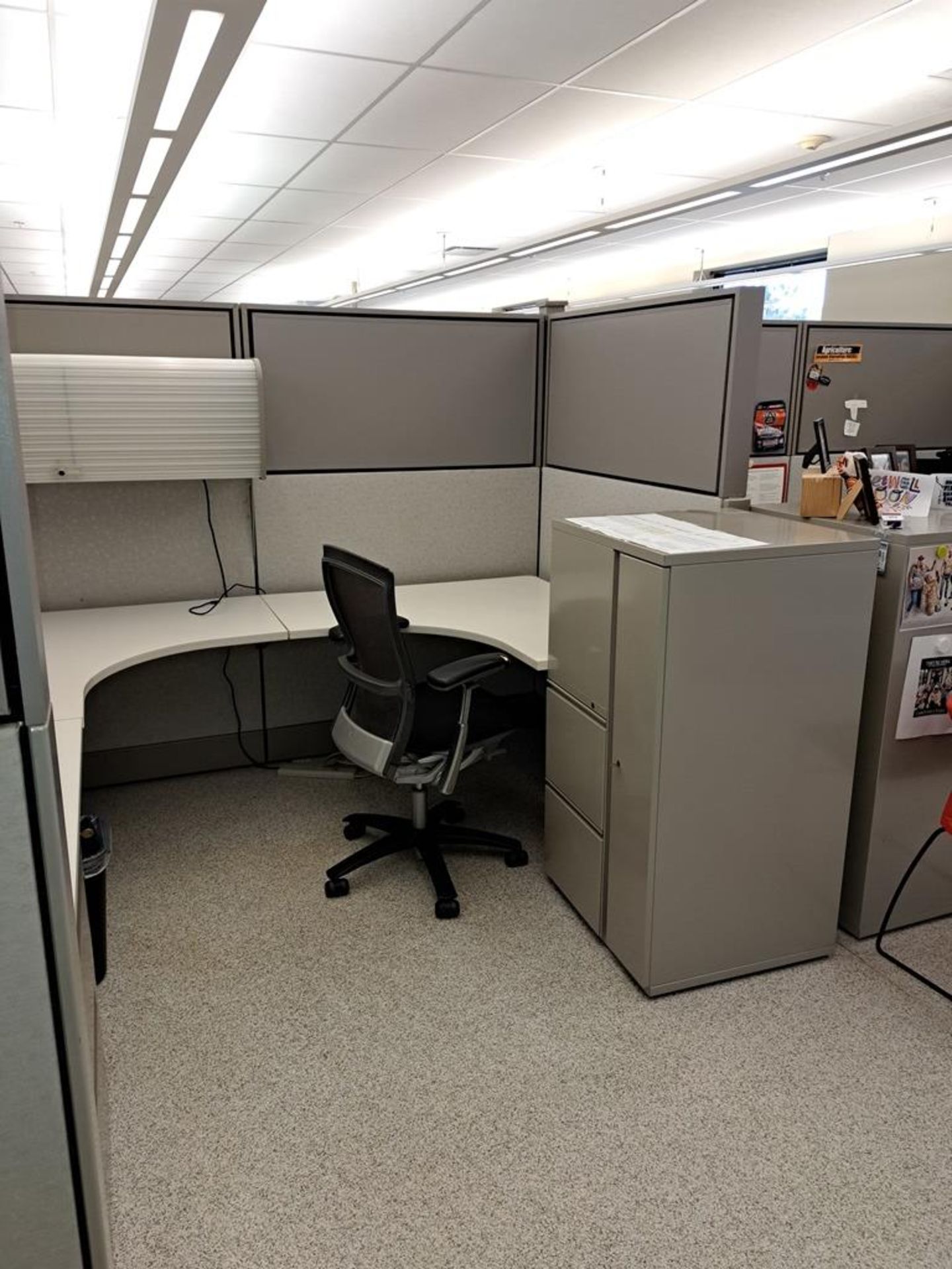 Lot Herman Miller Cubicle Work Stations, 17" W X 57' L, (12) Work Stations, Desks, Chairs, File - Image 6 of 32