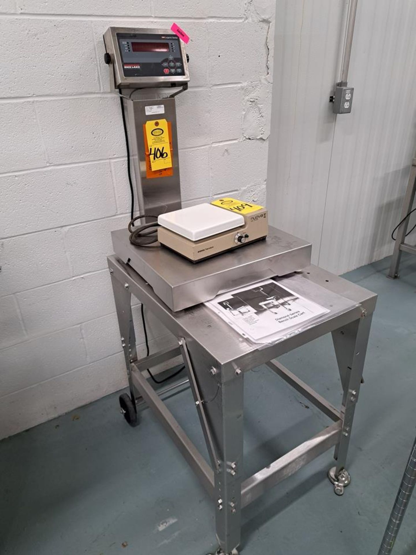 Rice Lake Mdl. 480 Digital Scale, 18" X 18" stainless steel top on cart-Removal Is By Appointment