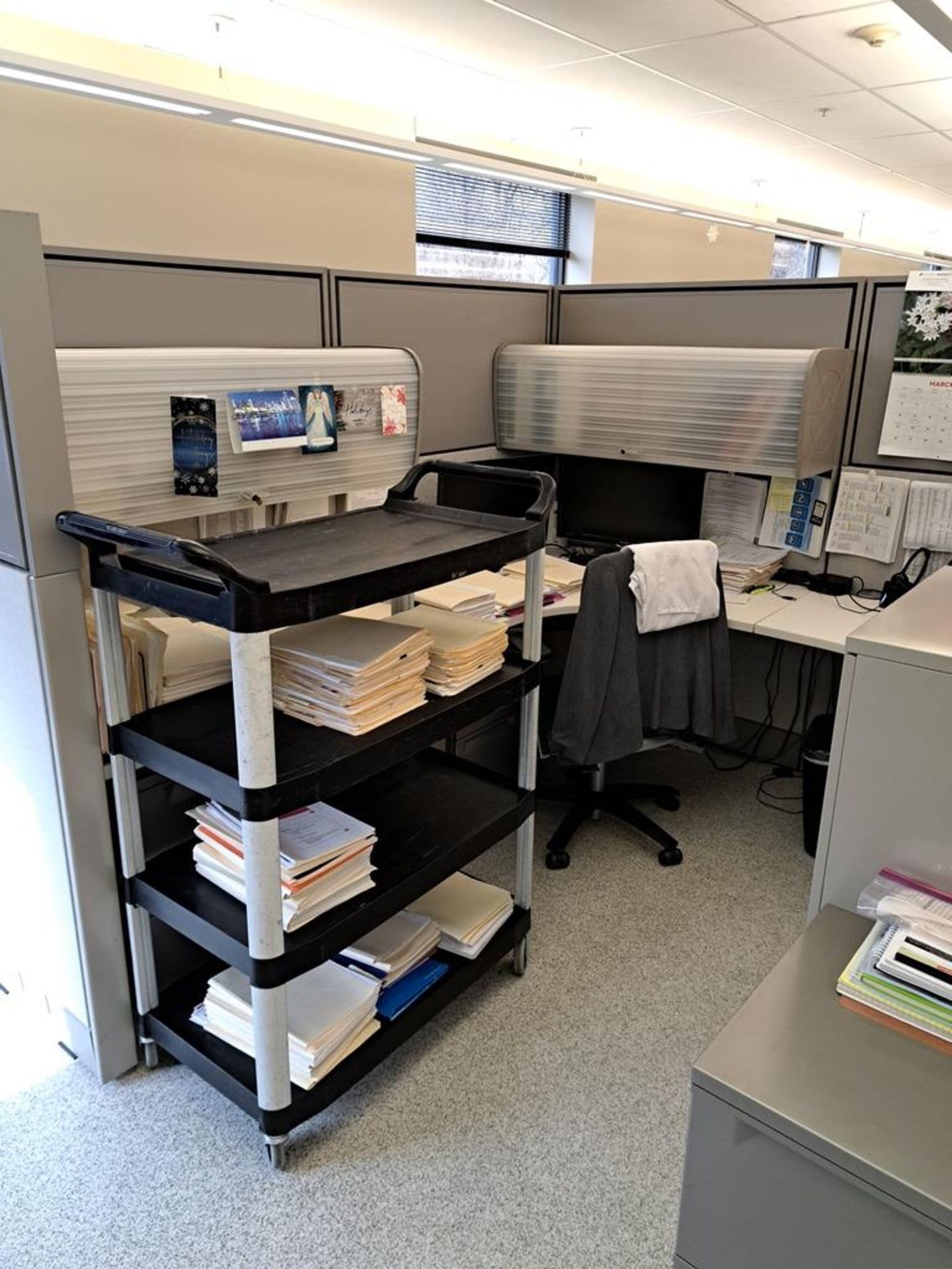 Lot Herman Miller Cubicle Work Stations, 17" W X 57' L, (12) Work Stations, Desks, Chairs, File - Image 20 of 32