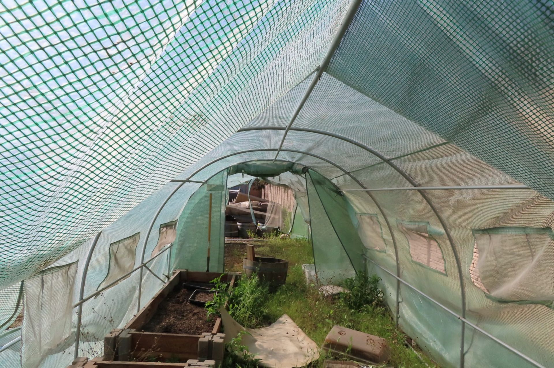 Greenhouses - Image 3 of 4