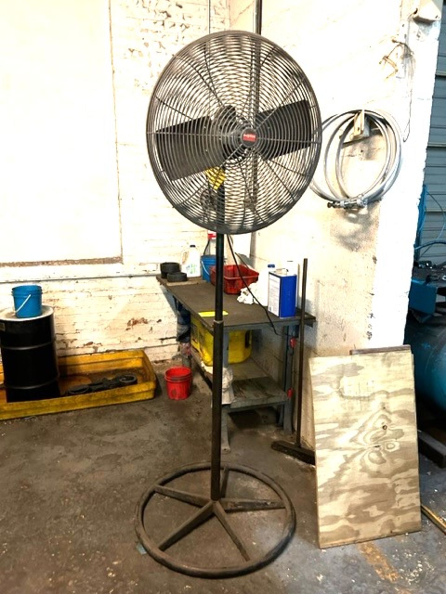 Dayton Pedestal Fan