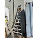 10' Orchard Ladder