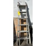 Little Giant Ladder