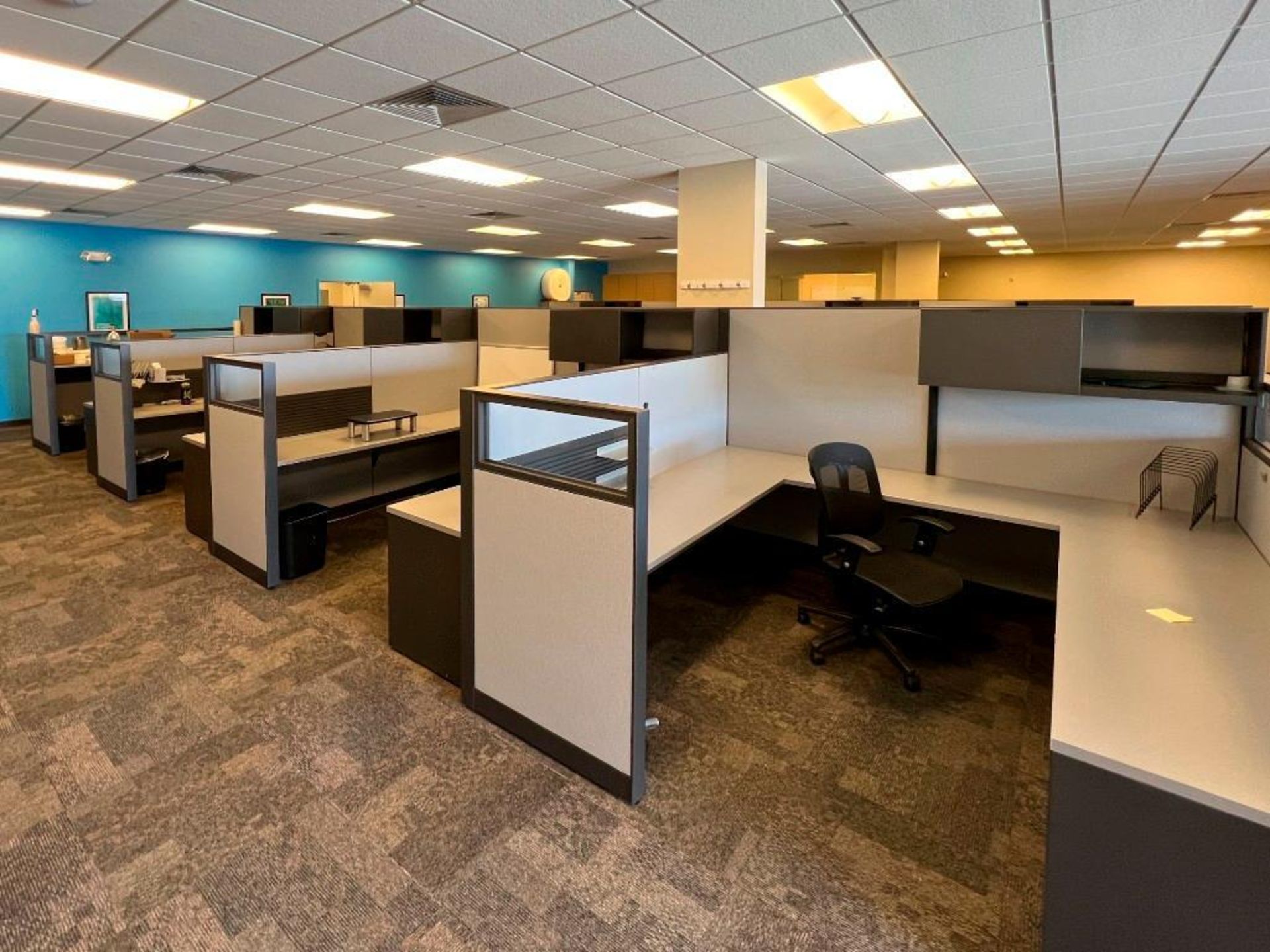 Set of 5 Cubicals - Image 6 of 9