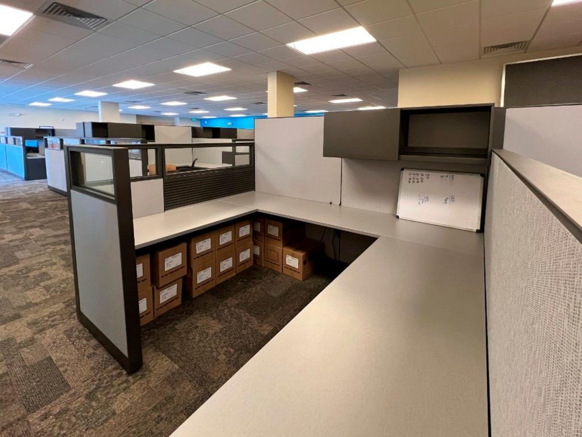 Set of 5 Cubicals - Image 3 of 9