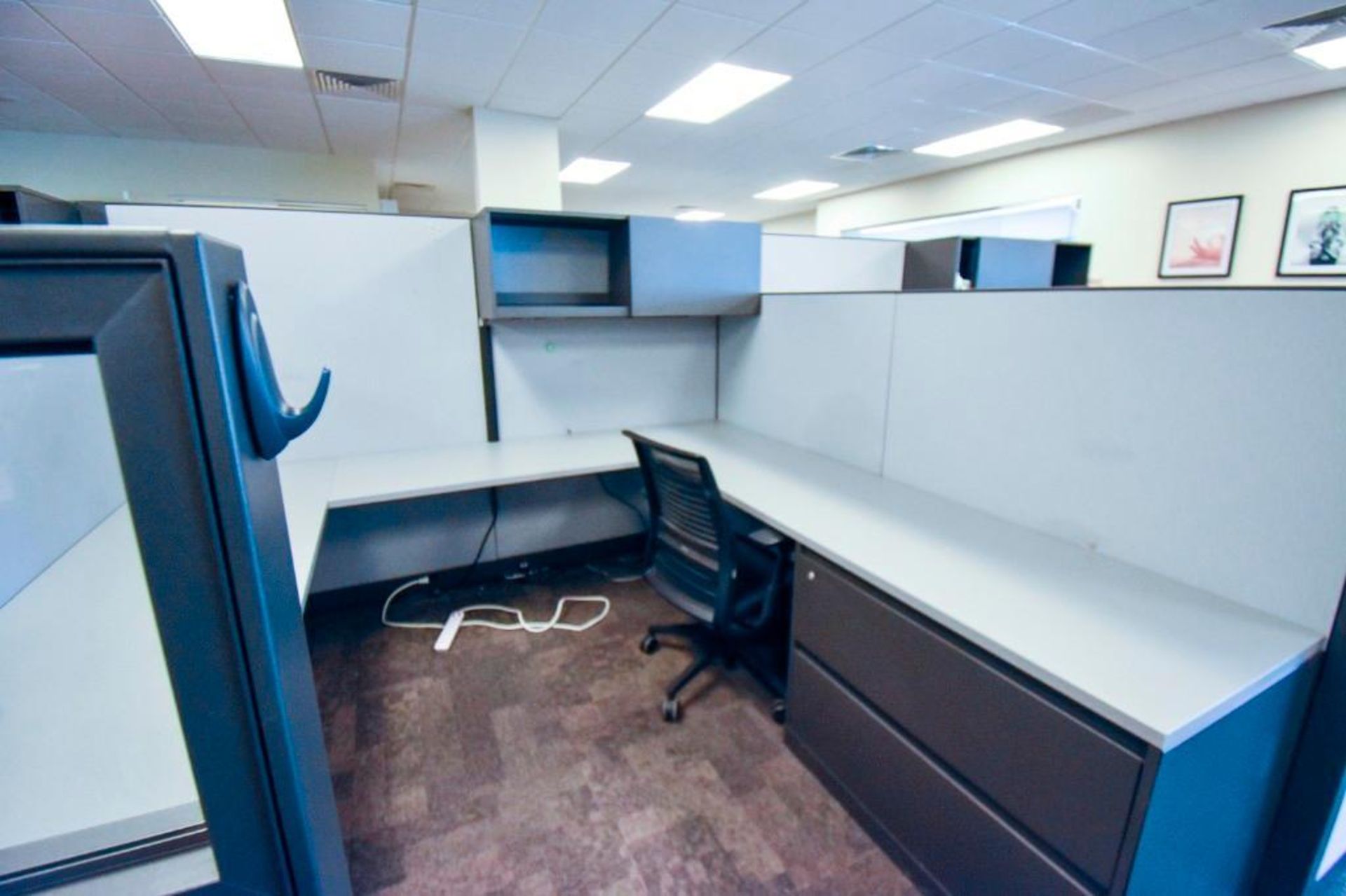 Set of 5 Cubicals - Image 4 of 9