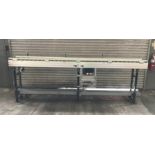 125 In. Industrial Roller Conveyor