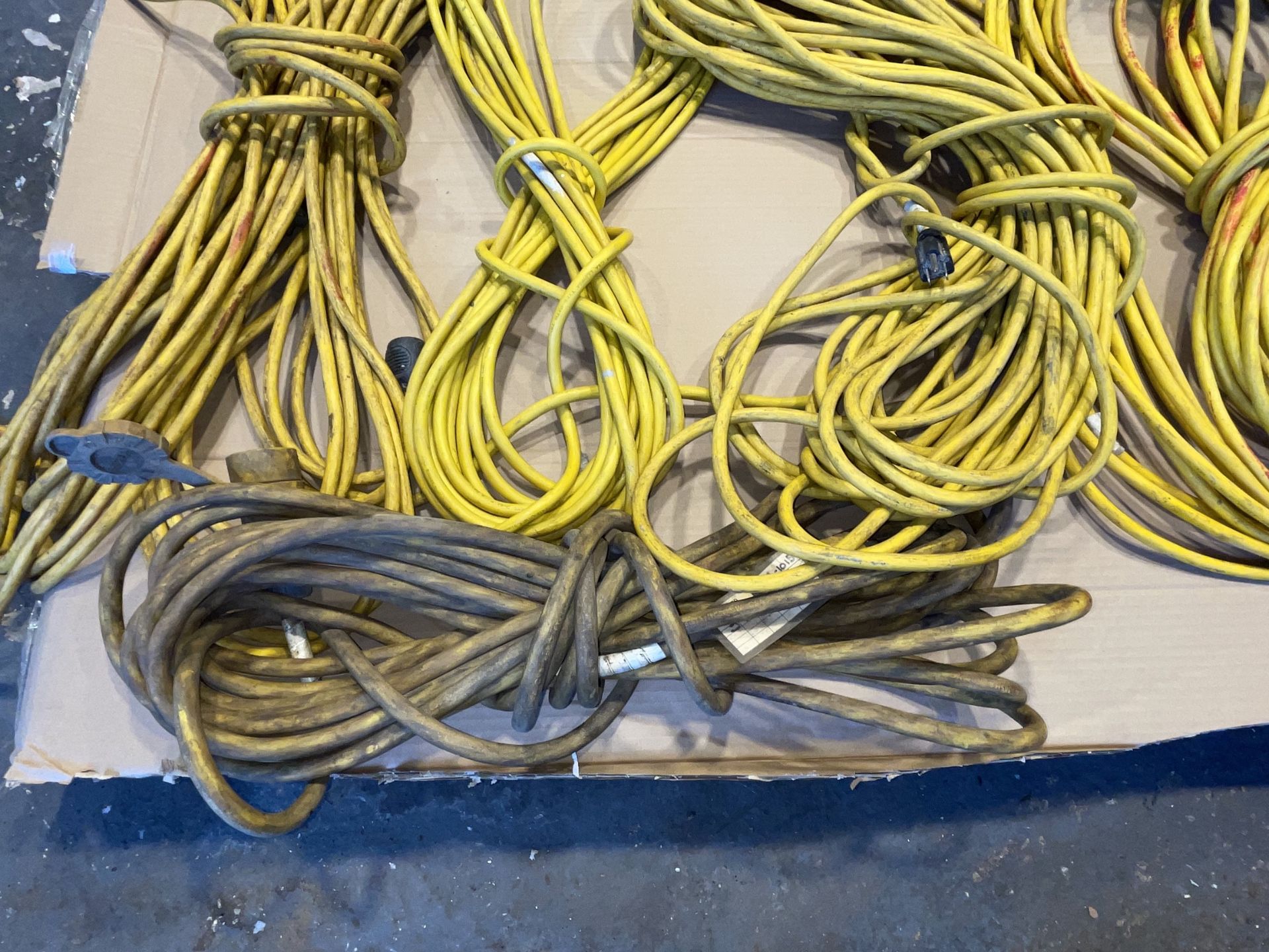 Lot of Extension Cords - Upland - Image 6 of 13