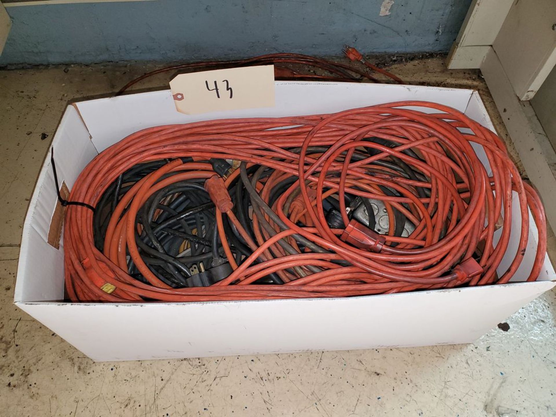 Lot of Assorted Extension Cords