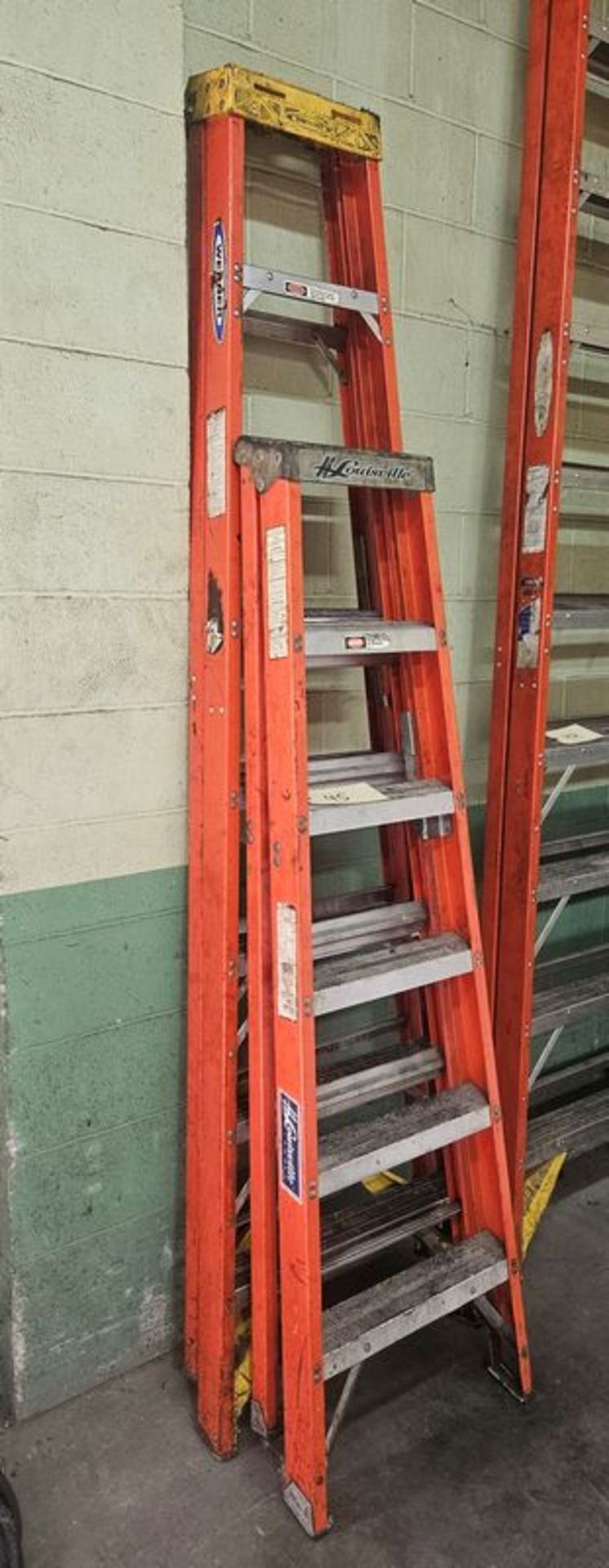 (2) Fiberglass Step Ladders