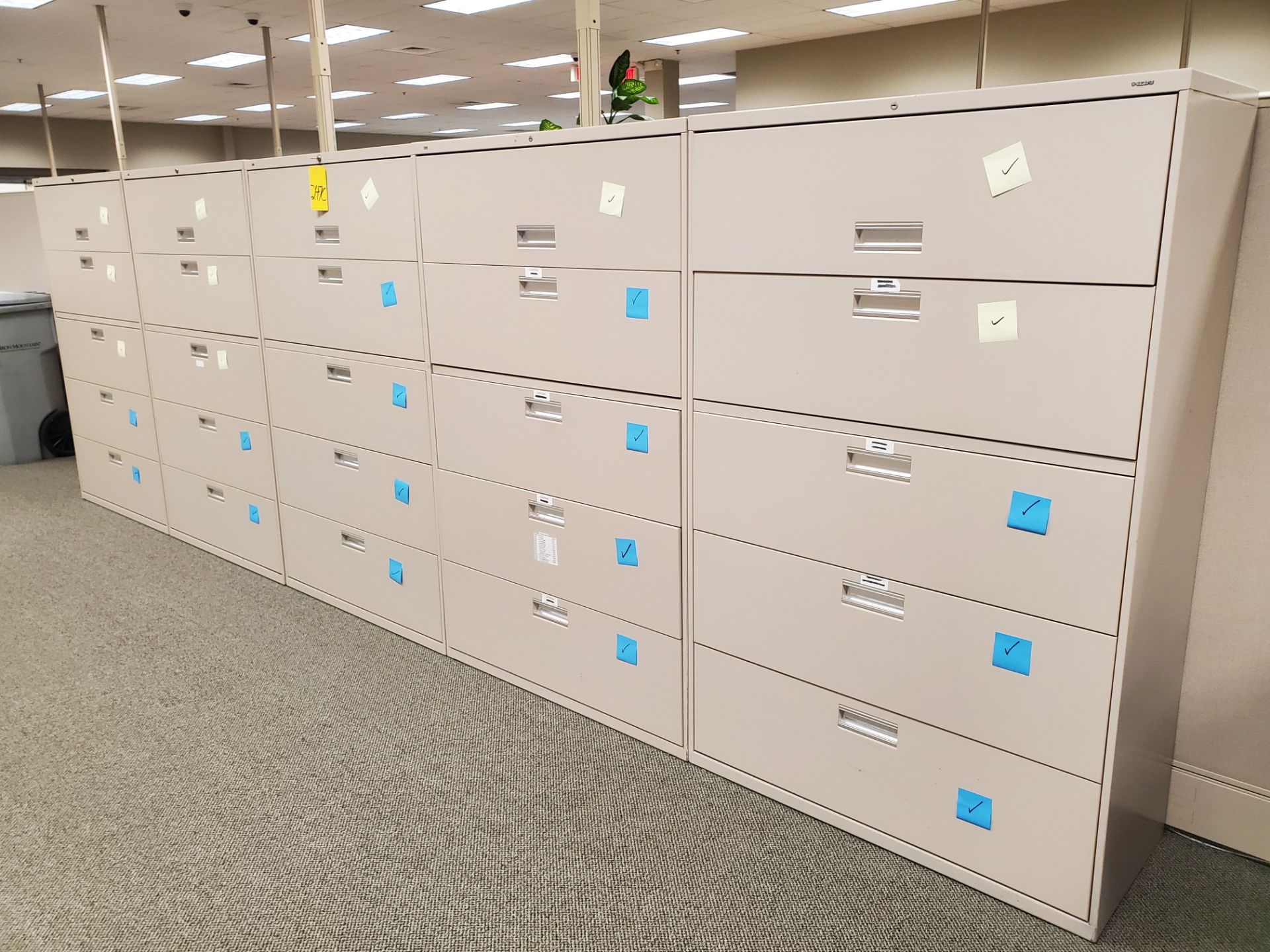 (5) Lateral File Cabinets