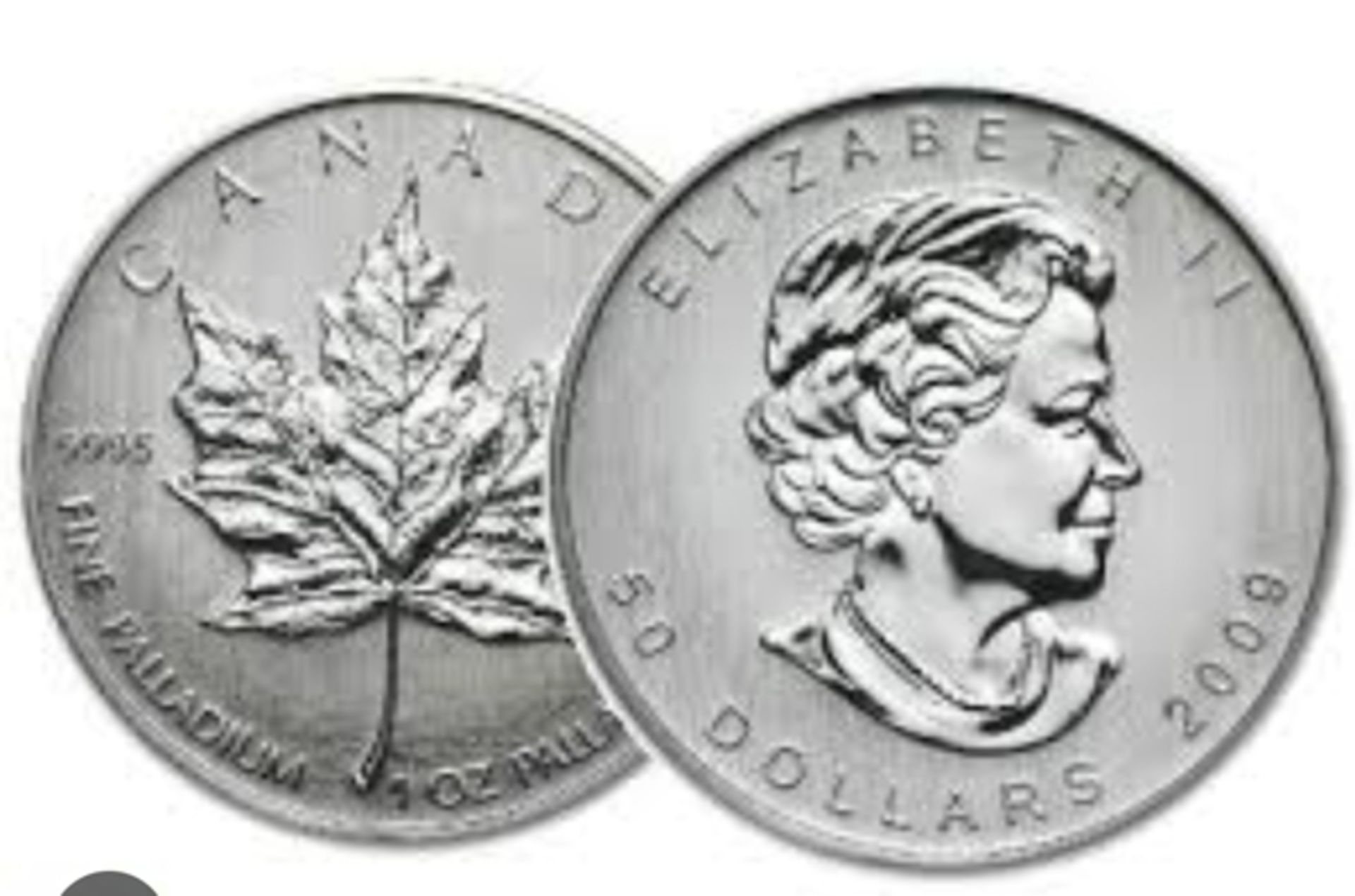 2009 1 OZ CANADIAN PALLADIUM MAPLE LEAF COIN