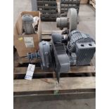 SKID OF VARIOUS VACUUM PUMPS