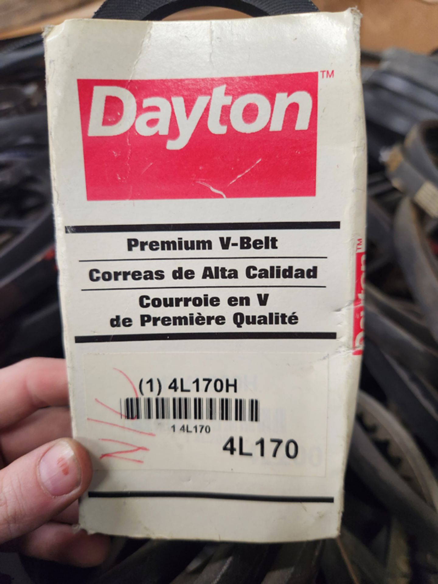 GAYLORD OF ASSORTED V BELTS - Image 6 of 11