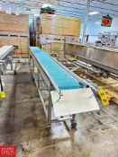 Mobile S/S Framed Conveyor with Belt and Drive, Dimensions = 211" x 15" - Rigging Fee: $500