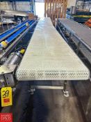 S/S Framed Product Conveyor with Plastic Chain and Drive, Dimensions = 249" x 2'