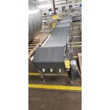 S/S Frame Conveyor, Dimensions = 142" x 24" Plastic Belt on Wheels, Straight