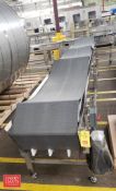 S/S Frame Conveyor, Dimensions = 210" x 24" Plastic Belt on Wheels, Straight