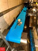 S/S Framed Conveyor with Drives and S/S Chute, Dimensions = 31' x 19" (Location: Louisville, OH)