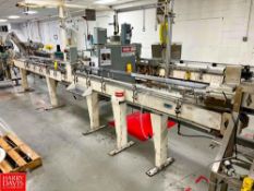 Conveyor with S/S Inline Filler Station Head and Drive, Dimensions = 30' x 6" (Subject to Bulk Bid)