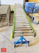 MTD Roller Conveyor, Dimensions = 120" Length x 18" Width - Rigging Fee: $75