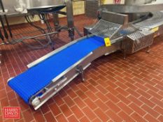 S/S Framed Power Conveyor with Pneumatic Press and Plastic Chain; Dimensions: 8' x 30"