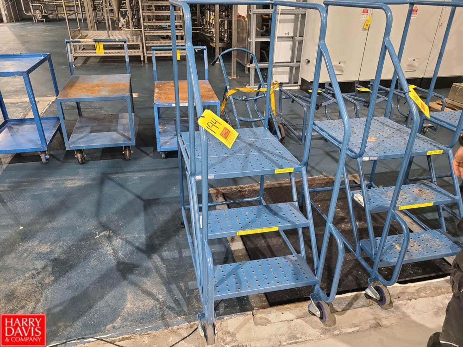 Kleton Warehouse Ladder, 29" - Rigging Fee: $25