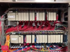 (3) Allen-Bradley ControlNet PLC Racks with (47) I/O Cards and S/S Enclosure