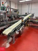 Hytrol Inclined Belt Conveyor: 15' x 12" with Drive and Hytrol Roller Conveyor: 14' x 15" with Drive