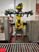 Fanuc Palletizing Robot, Model: M-420iA, S/N: R04942394, Fanuc R-30iA Control System, R-J3iC Power