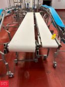 S/S Framed Incline Portable Belt Conveyors: 12' x 1' and 14' x 17" with Drives - Rigging Fee: $600