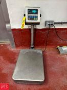 AND S/S Tabletop Digital Scale, Model: HV-200KV-WP and S/S Floor Scale: 2' x 2' - Rigging Fee: $100