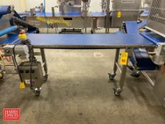 Quantum 6' Length Portable S/S Frame Conveyor with 20" Belt, Conveyor Drive and Controls