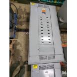 PETERSON 87935-3 600 AMP 480V 303W ELECTRICAL PANEL