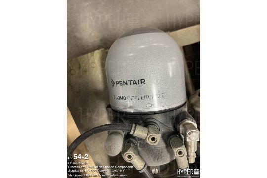 Pentair valves - Image 2 of 4