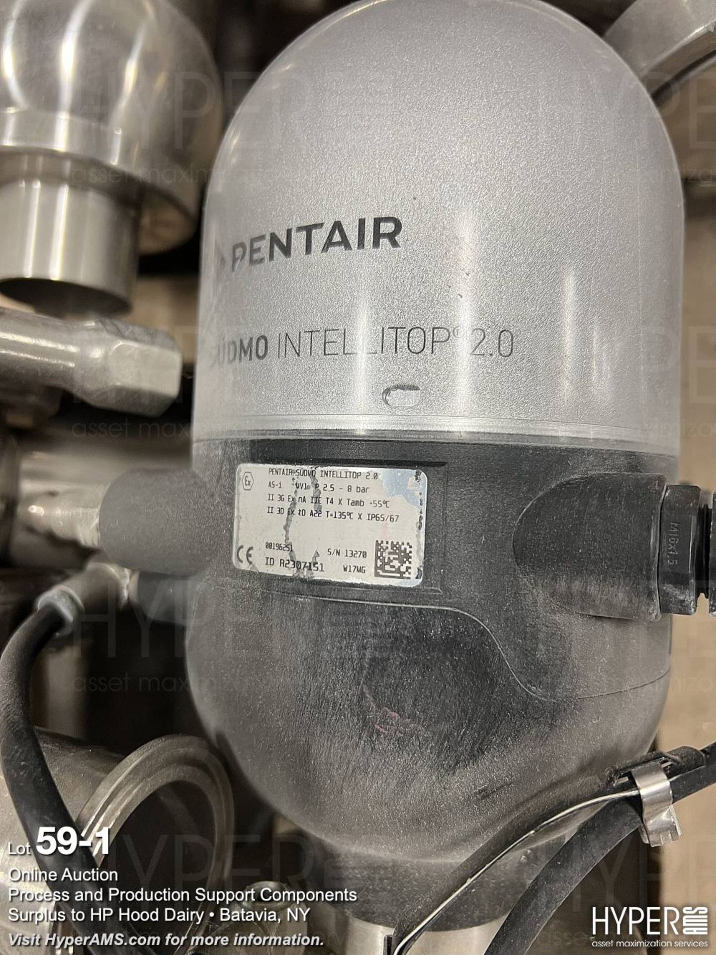 Pentair valves