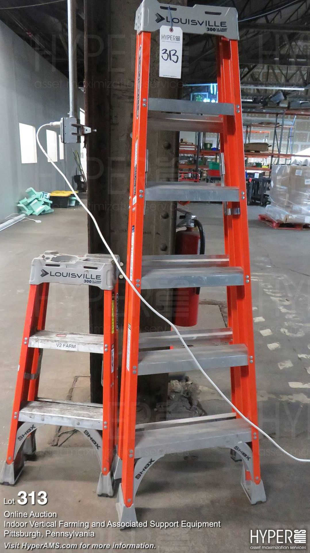 (6) Ladders and step ladders