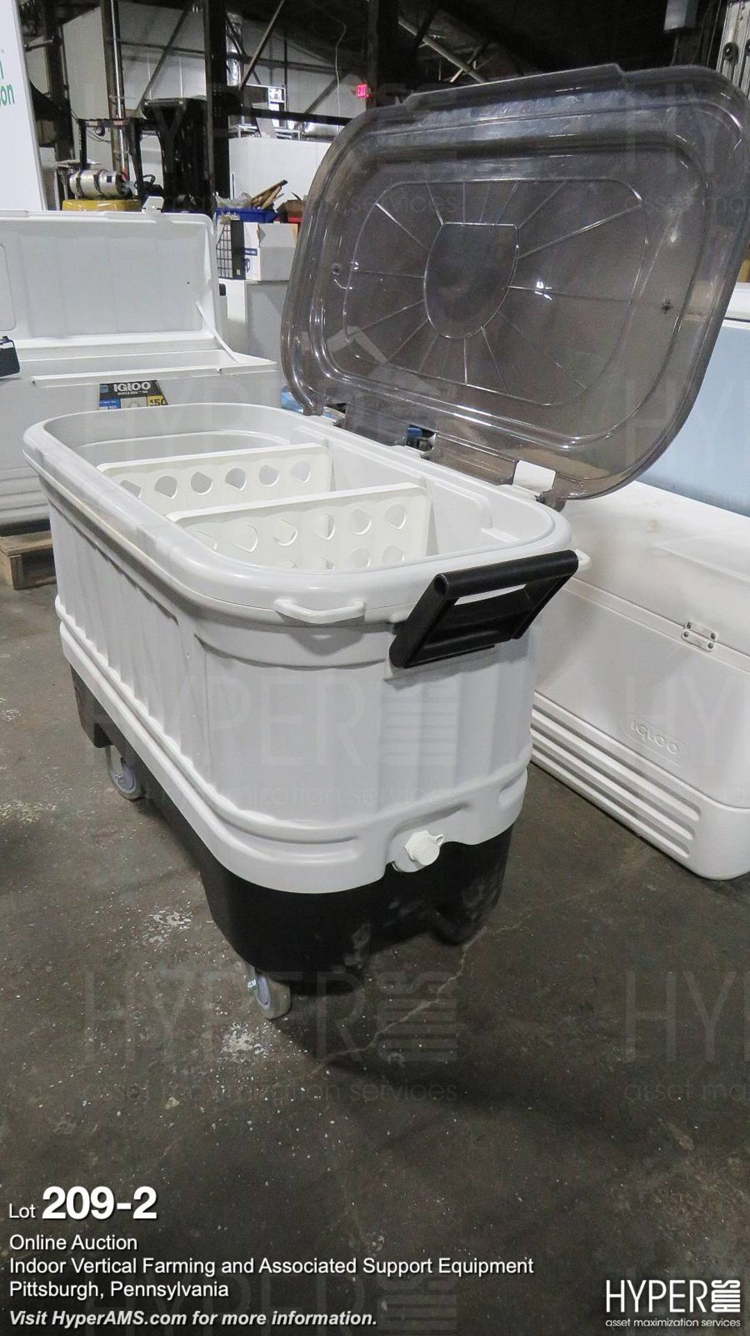 (lot) (4) Coolers - Image 2 of 4